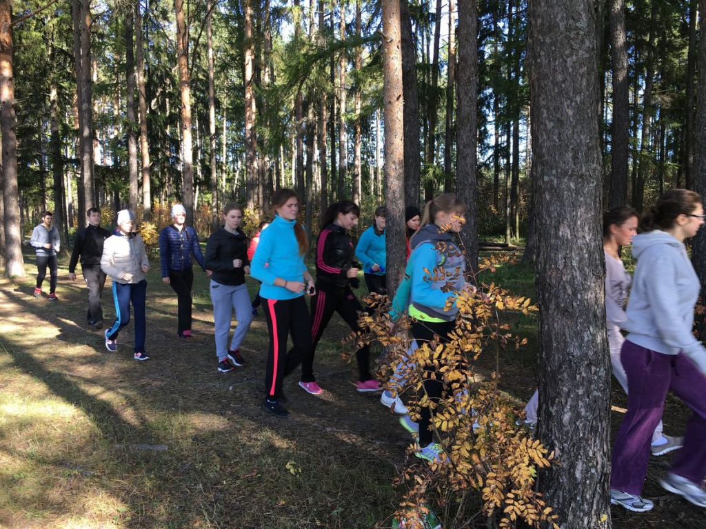 Всероссийский день ходьбы