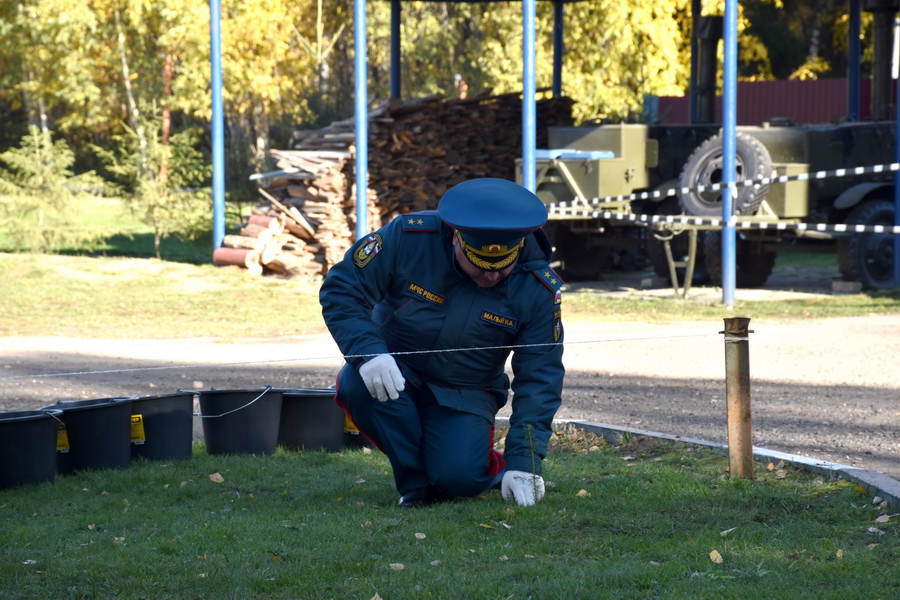 Памятная посадка деревьев