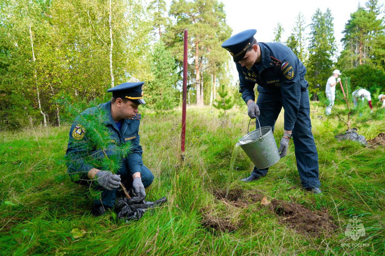 Сохраняем природу вместе